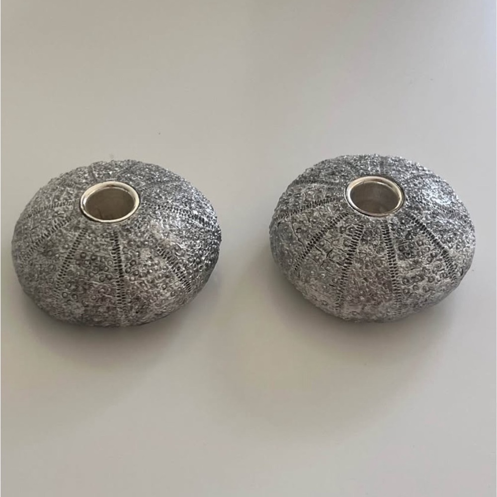 Set of 2 Silver Sea Urchin Taper Candle Holders